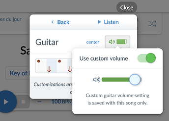 Screenshot of custom volume setting